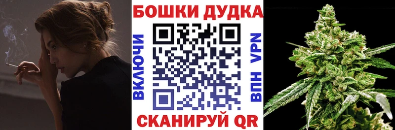 Шишки марихуана план  OMG tor  Сокол 